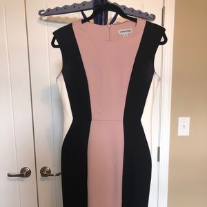 Shelby & Palmer Sheath Dress